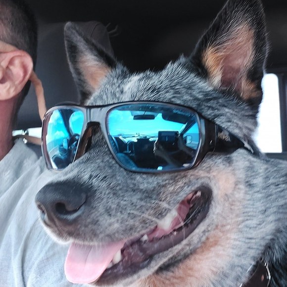 Meet your Posher, Marianne - Picture 1 of 1